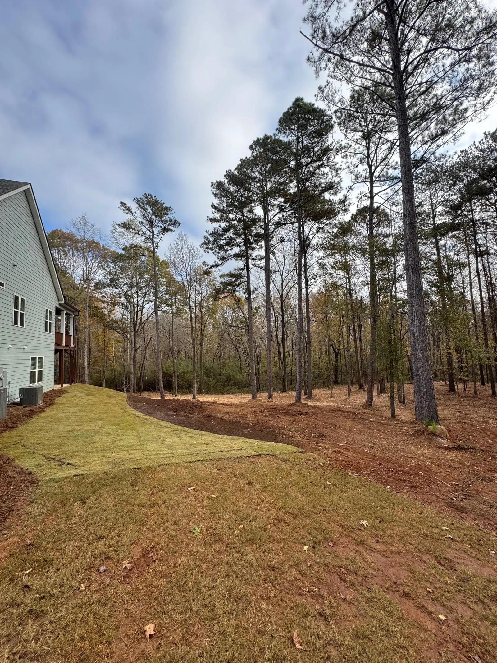 Backyard with new sod beside a house and underbrush cleared from the woods behind it.